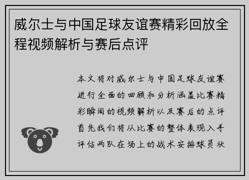 威尔士与中国足球友谊赛精彩回放全程视频解析与赛后点评